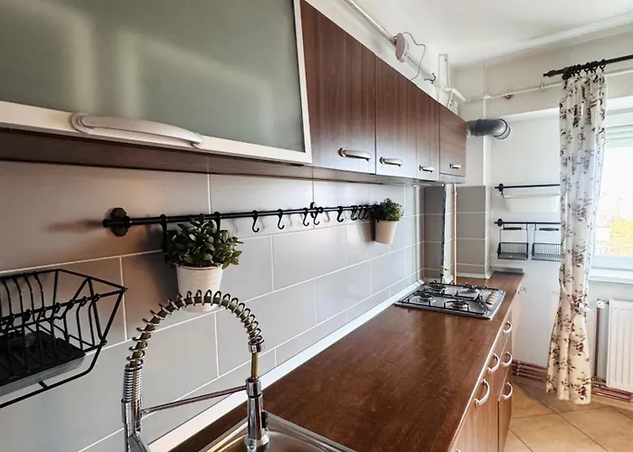 Ultracentral Apartment Craiova